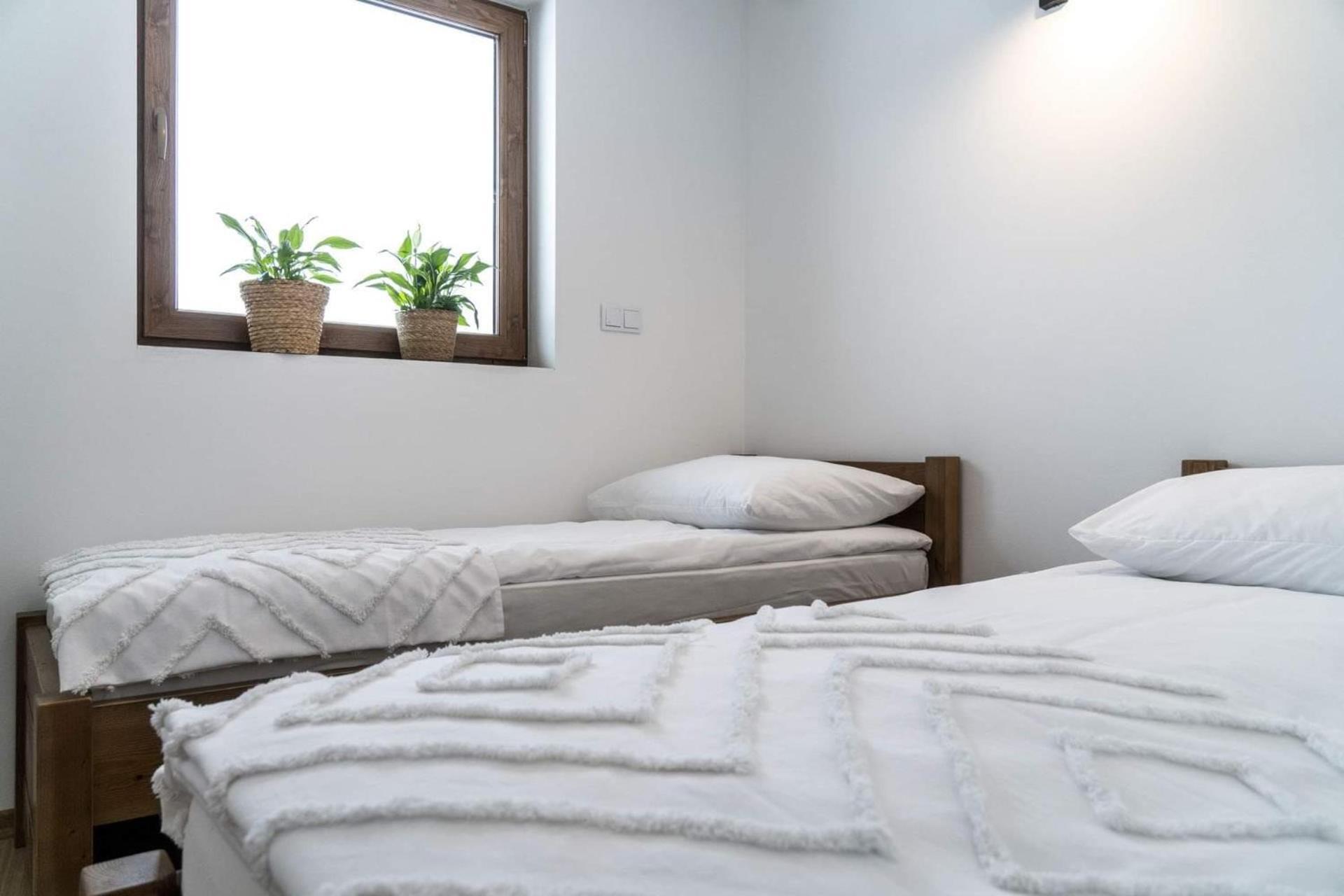 Apartment Lesne *